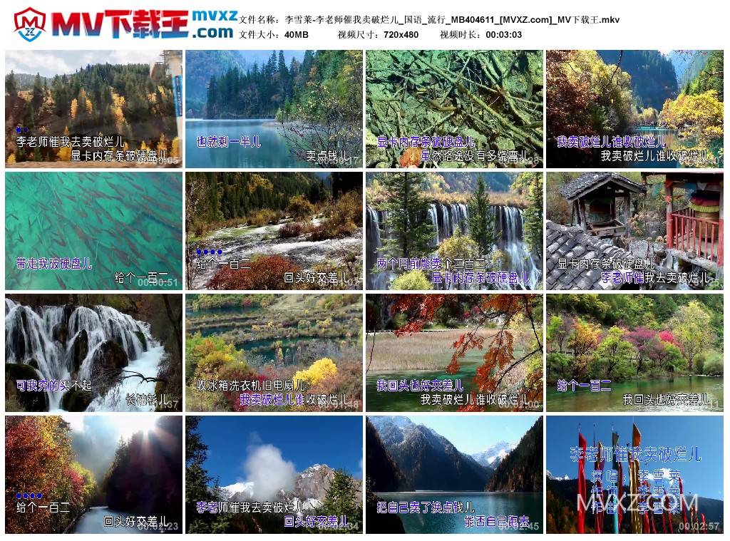 李雪莱-李老师催我卖破烂儿_国语_流行_MB404611